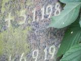 image of grave number 459200